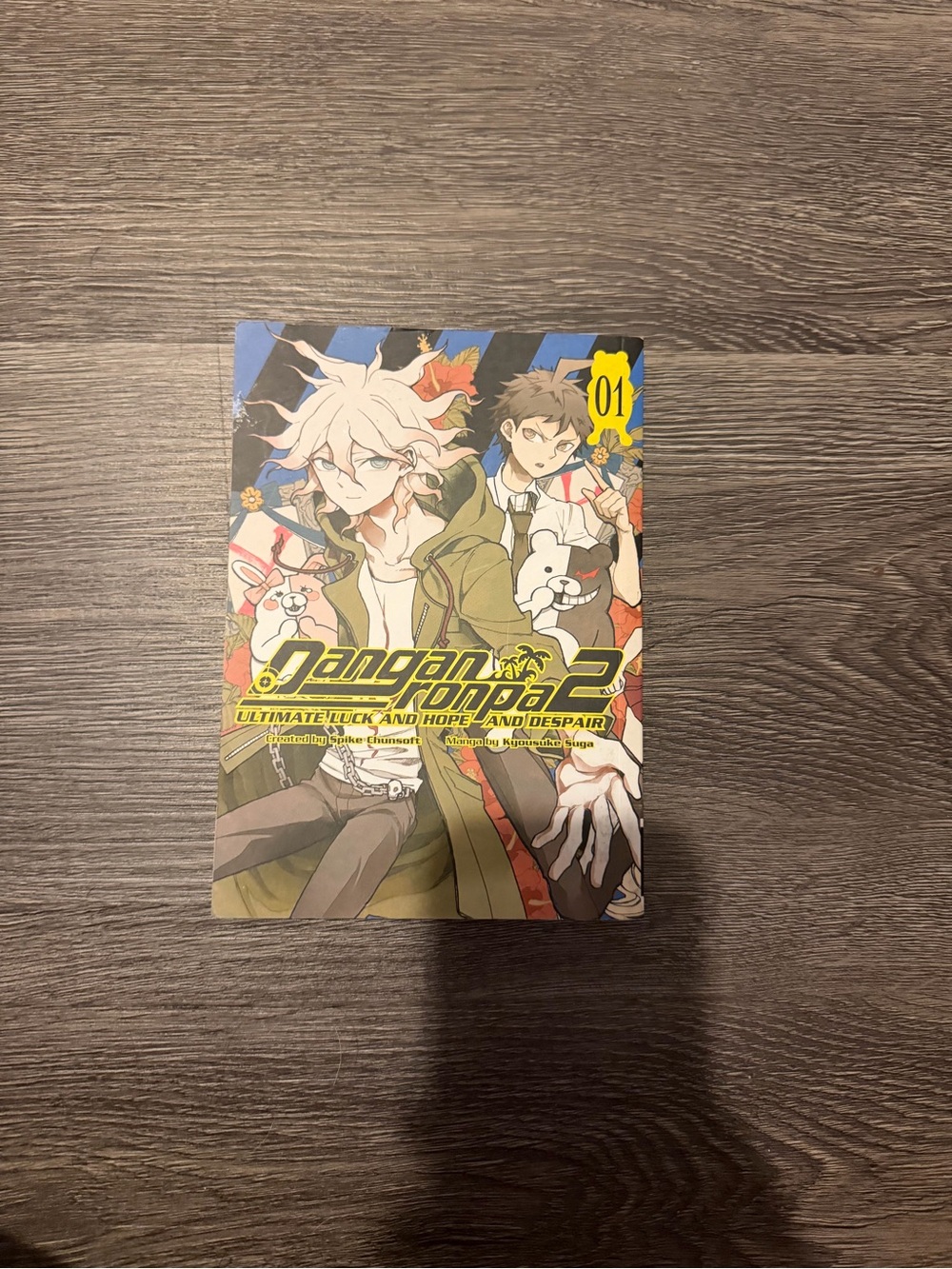 Danganronpa 2: Ultimate Luck and Hope and Despair Vol. 1 - Green Cover